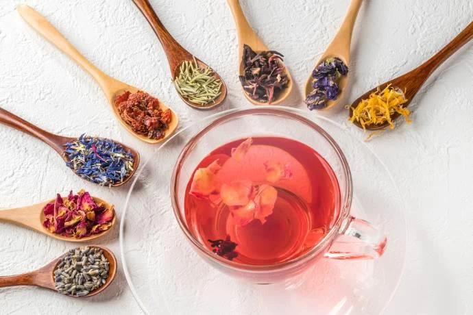 Infusi
